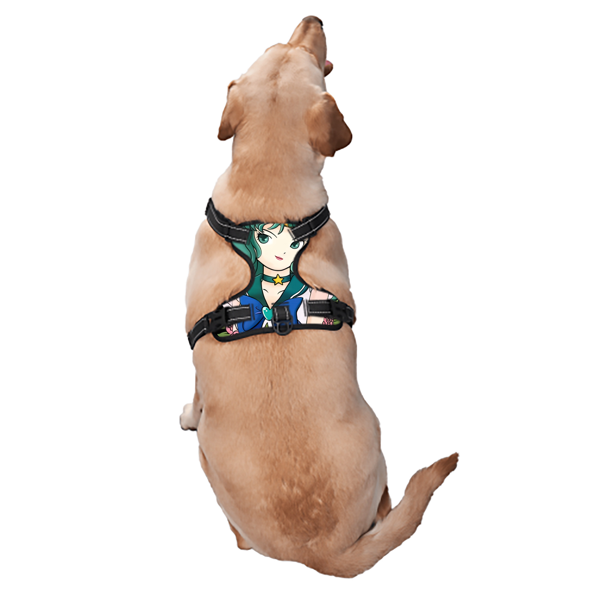 （画像用） 美少女戦士セーラームーン 海王 みちる（かいおう みちる） Sailor Moon Kaiou Michiru ペット用ハーネス